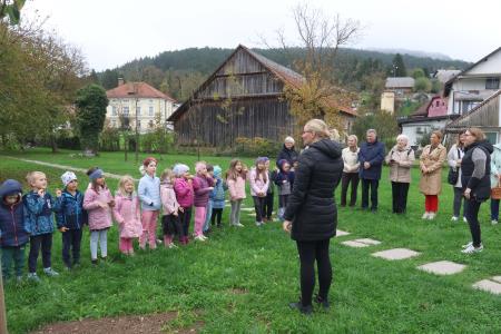 Posaditev  rožnatega drevesa v Pocinovem vrtu 12 Foto Ljubo Vukelič